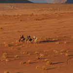 Viaggio in Giordania - Cammellata nel Wadi Rum in Giordania