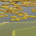 Etiopia Dancalia Laghi acidi di Dallol